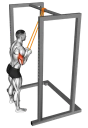 Pushdown tricipiti con elastico