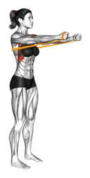 Serratus push con elastico in piedi