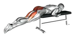Reverse hyper su panca piana