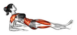 Plank inverso sui gomiti