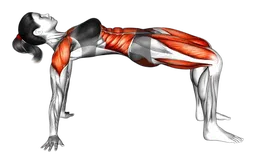 Plank inverso con sollevamento gamba