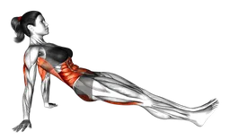 Plank inverso