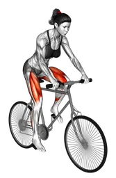 Ciclismo all'aperto