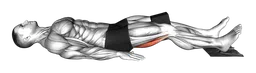 Leg curl eccentrico agli anelli con blocco yoga e asciugamano