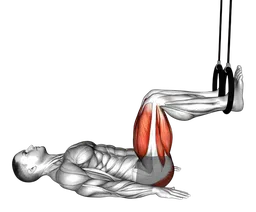 Ponte glutei agli anelli