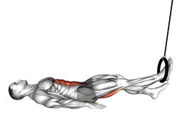 Leg curl a una gamba con sollevamento anche agli anelli
