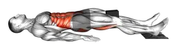 Leg curl con anelli, blocco yoga e asciugamano