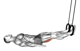 Leg curl con anelli