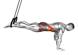 Reverse ab rollout con anelli