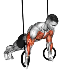 Push-up inverso con anelli