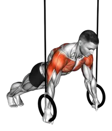 Push-up russo agli anelli