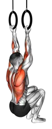 Chin-up assistito con anelli