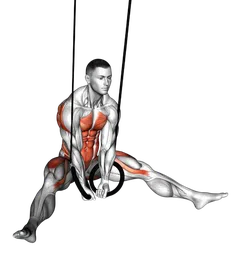L-sit a gambe divaricate agli anelli