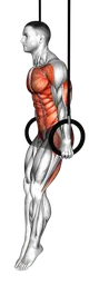 Planche tuck agli anelli