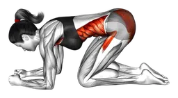 Plank RKC