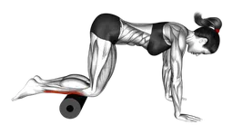 Roll tibiale anteriore