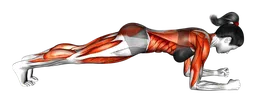 Rolling plank