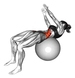 Russian twist (su stability ball a braccia tese)
