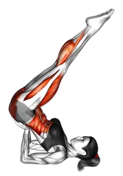 Scissors