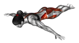 Stretching dello scorpione
