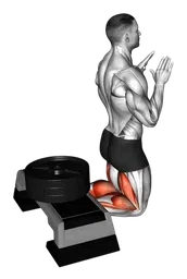 Leg curl inverso auto assistito (variante 2)