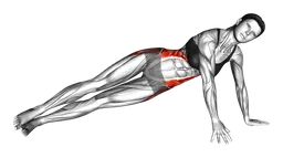 Side plank con sollevamento della gamba