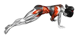 Side plank pull