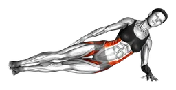 Side plank raise