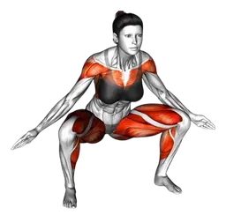 Side squat jack