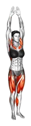 Squat con step laterale, raccogli e porta