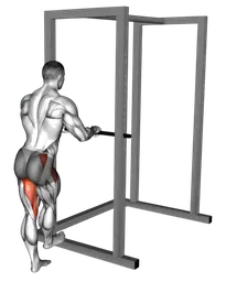 Slanci delle gambe laterali