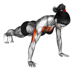 Push-up laterale