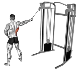 Lat pulldown a braccio teso a un braccio ai cavi