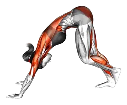 Downward dog singolo