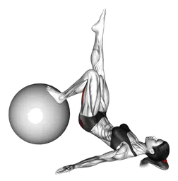 Leg extension a una gamba (su fitball)
