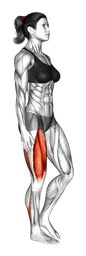 Squat tocco tallone a una gamba