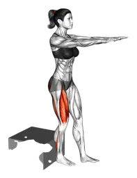 Squat su scatola bassa a una gamba