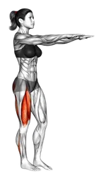 Squat a una gamba (pistol)