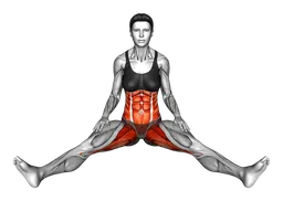 Split stretch singolo (principiante)