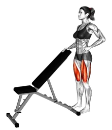 Sissy squat a corpo libero