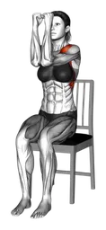 Chest fly da seduto su una sedia