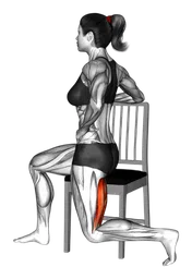 Hamstring curl da seduto su una sedia