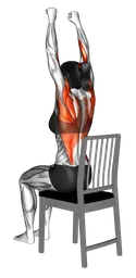 Lat pulldown da seduto su una sedia