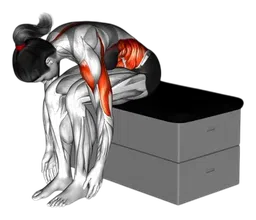 Shoulder press tocca punta da seduto su uno sgabello imbottito