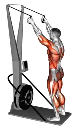 Ski ergometer