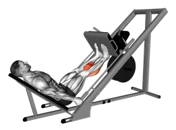 Calf press a 45 gradi alla sled machine