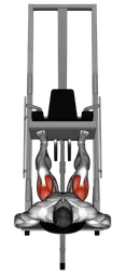 Leg press a 45 gradi alla sled machine (vista posteriore)