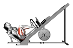 Leg press a 45 gradi alla sled machine (vista laterale)