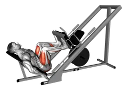 Leg press a 45 gradi alla sled machine