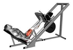 Leg press a 45 gradi a una gamba alla sled machine